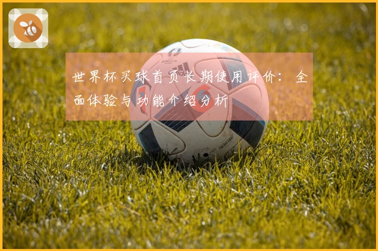 世界杯买球首页长期使用评价：全面体验与功能介绍分析