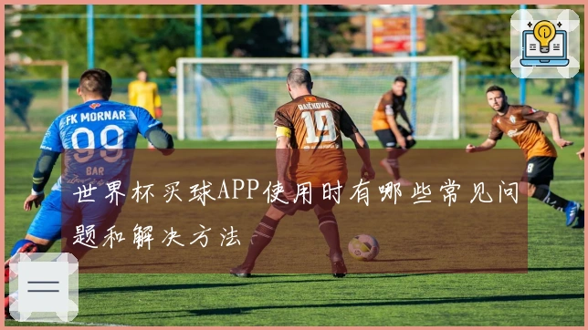 世界杯买球APP使用时有哪些常见问题和解决方法