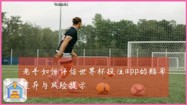 老手如何评估世界杯投注app的赔率差异与风险提示