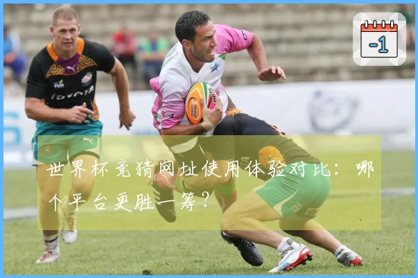 世界杯竞猜网址使用体验对比：哪个平台更胜一筹？