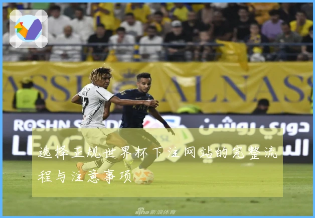 选择正规世界杯下注网站的完整流程与注意事项