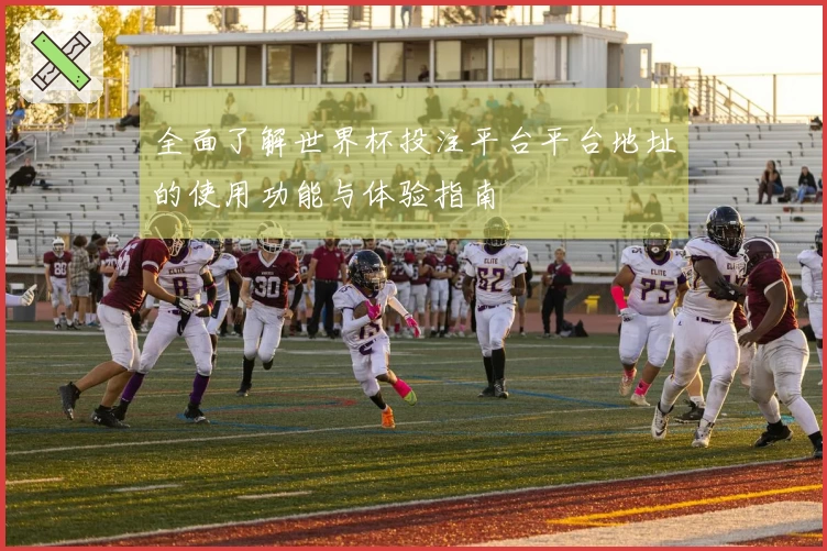 全面了解世界杯投注平台平台地址的使用功能与体验指南