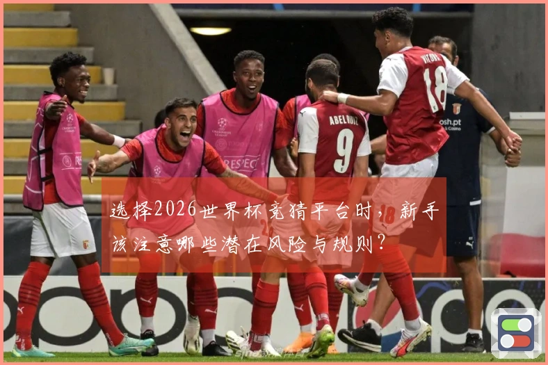 选择2026世界杯竞猜平台时，新手该注意哪些潜在风险与规则？