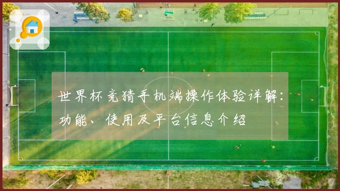 世界杯竞猜手机端操作体验详解：功能、使用及平台信息介绍