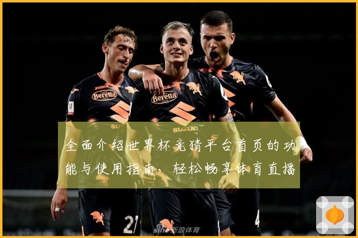 全面介绍世界杯竞猜平台首页的功能与使用指南，轻松畅享体育直播体验