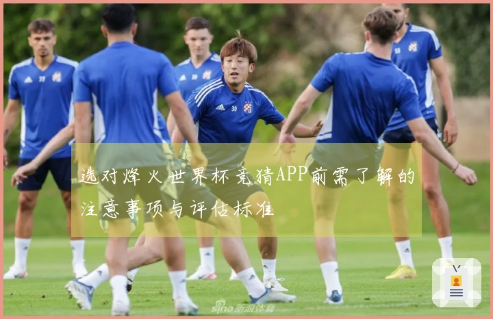 选对烽火世界杯竞猜APP前需了解的注意事项与评估标准