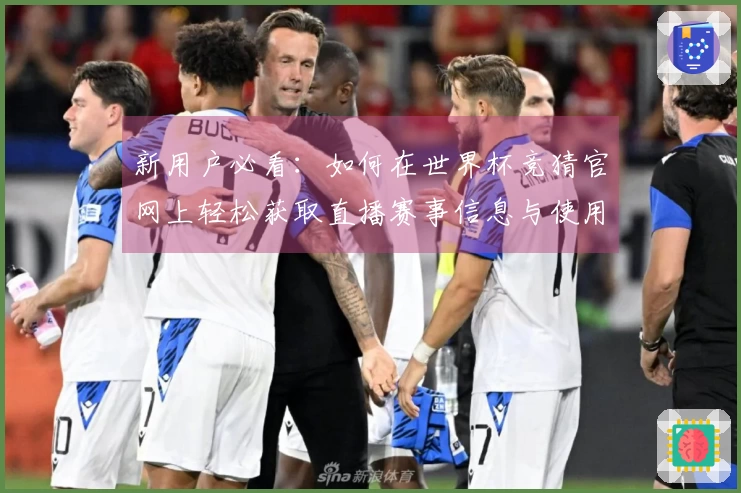 新用户必看：如何在世界杯竞猜官网上轻松获取直播赛事信息与使用教程