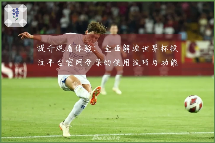 提升观看体验：全面解读世界杯投注平台官网登录的使用技巧与功能介绍