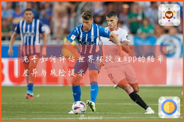 老手如何评估世界杯投注app的赔率差异与风险提示