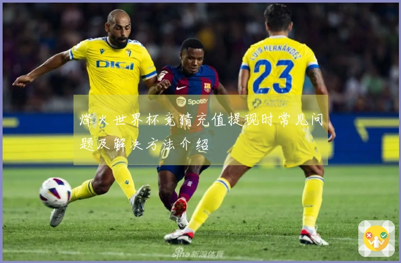 烽火世界杯竞猜充值提现时常见问题及解决方法介绍