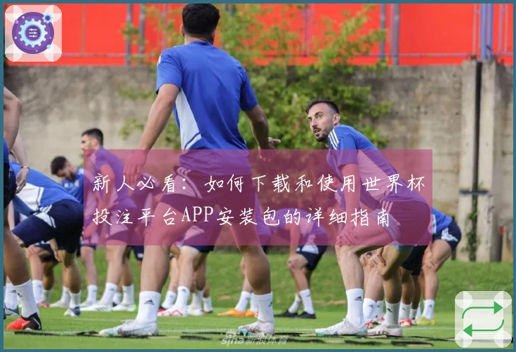 新人必看：如何下载和使用世界杯投注平台APP安装包的详细指南