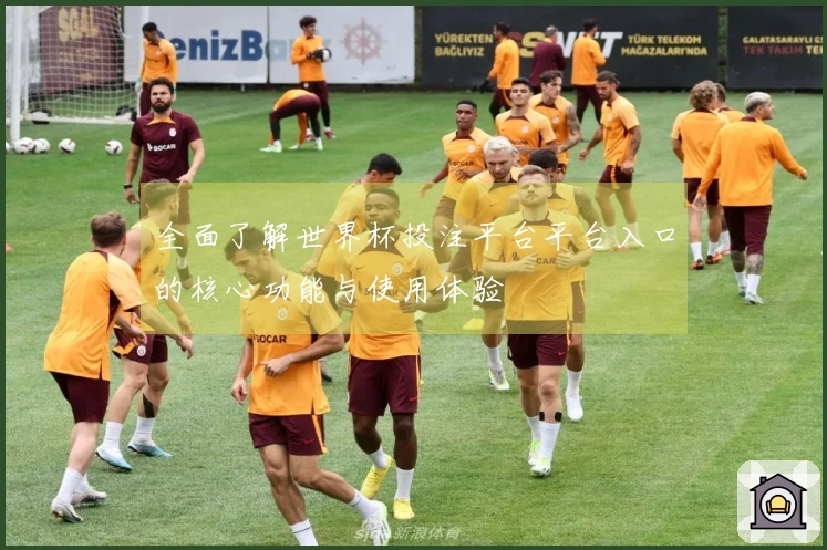 全面了解世界杯投注平台平台入口的核心功能与使用体验